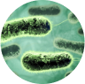 greenlinemedic.com